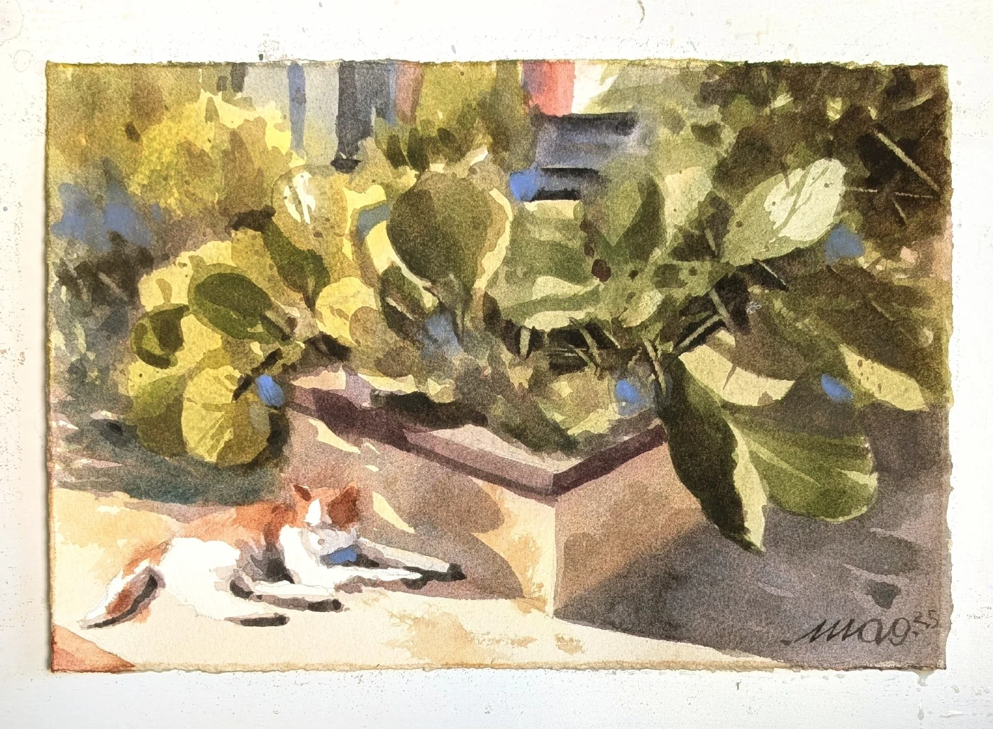 Giardino d’estate — acquerello di Marco Novo