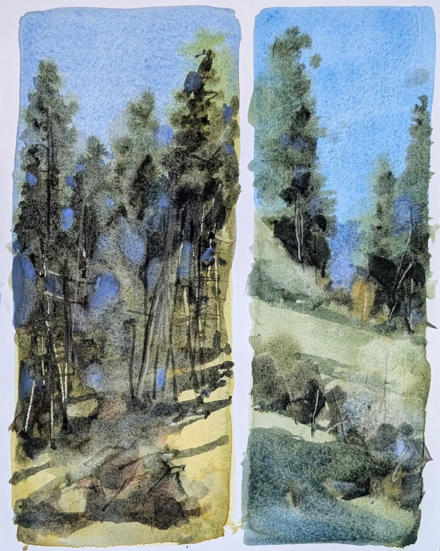 Studi nel verde — acquerello di Marco Novo